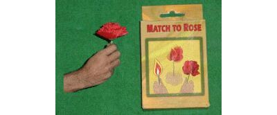 Match to Rose