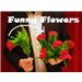 Funny Flowers