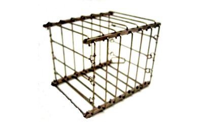 Vanishing Bird Cage