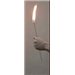 Torch to Rose