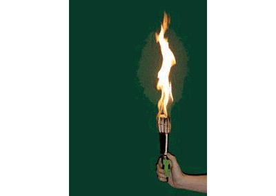 Fire Fan