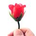 Rose Surprise