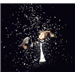 Snowstorm, star shaped