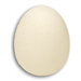 Sponge Egg