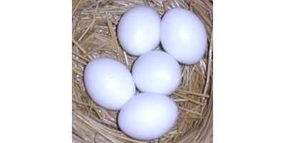 Egg, plastic solid small