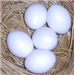 Egg, plastic solid small