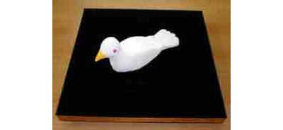 Dove Tray, new model