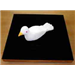 Dove Tray, new model