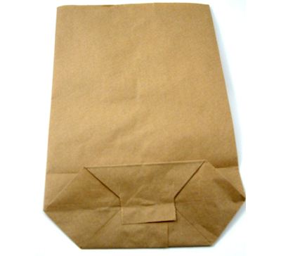 Paper Bag (20)