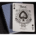 Bee Club Poker blue