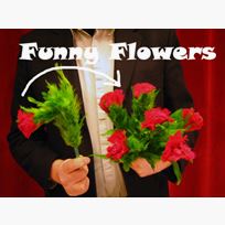 Funny Flowers