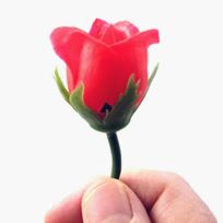Rose Surprise