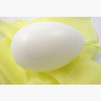 Egg, ostrich