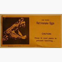 Rattle Snake Eggs