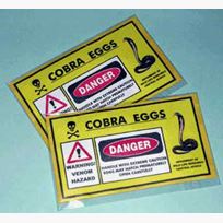 Cobra Eggs