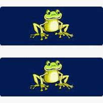 Jumping Frog Paddle