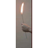 Torch to Rose