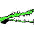 Crocodile Coin Vanisher