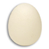 Sponge Egg