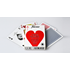 Fournier Poker 2500, plastic, blue