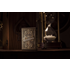 Citizen Playing Cards