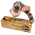 Raccoon Spring Animal