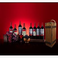 Multipl Wine Bottles (8) SdL