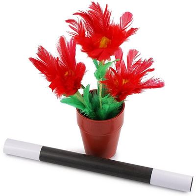 Flower in Pot