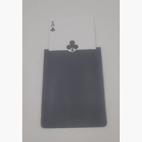 Card Pocket (10)