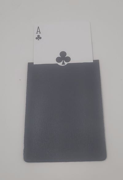 Card Pocket (10)
