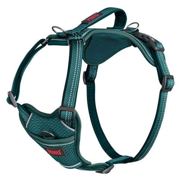 Halti Anatomy sele Teal Medium