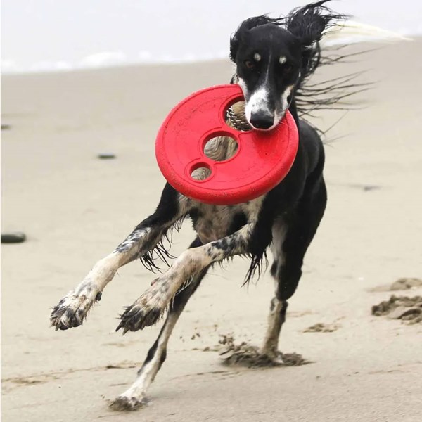 Rogz Flytande frisbee röd Ø23cm