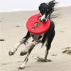 Rogz Flytande frisbee röd Ø23cm