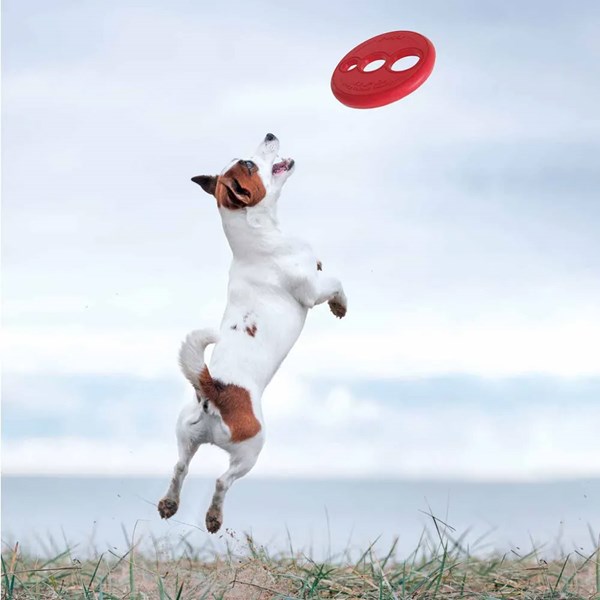 Rogz Flytande frisbee röd Ø16cm