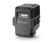 BLI200 BATTERY