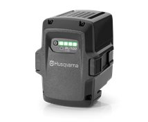 BLI100 BATTERY