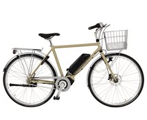 Favorit EL herr, 7-vxl. 55cm, Eucalyptus Matt