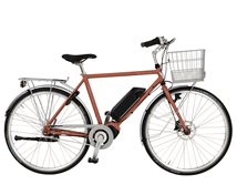 Favorit EL herr, 7-vxl. 55cm, Bränd Jord Matt