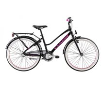 RAN 24" 3VXL