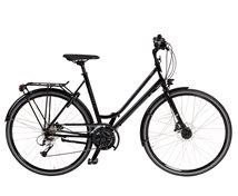 Dam Elit, 18-vxl.(53cm)