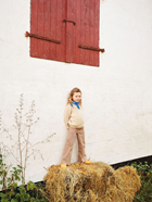 Karli Tröja