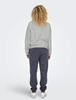 ONLSWEAT L/S CREW OVERSIZE STATE SWT