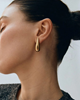 Crest Studs Gold