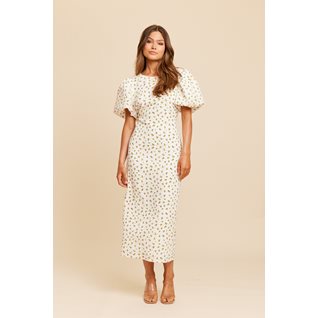 LIZ LONG DRESS