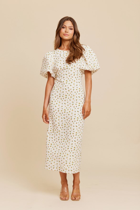 LIZ LONG DRESS