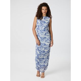 Corilina Long Mesh Dress