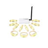 LED bracelet with remote control