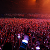LED Armband Core CrowdLED