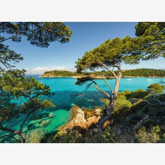 500 bitar - Beautiful view
