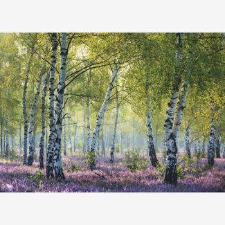 1000 bitar - Björkskog, Birch forest